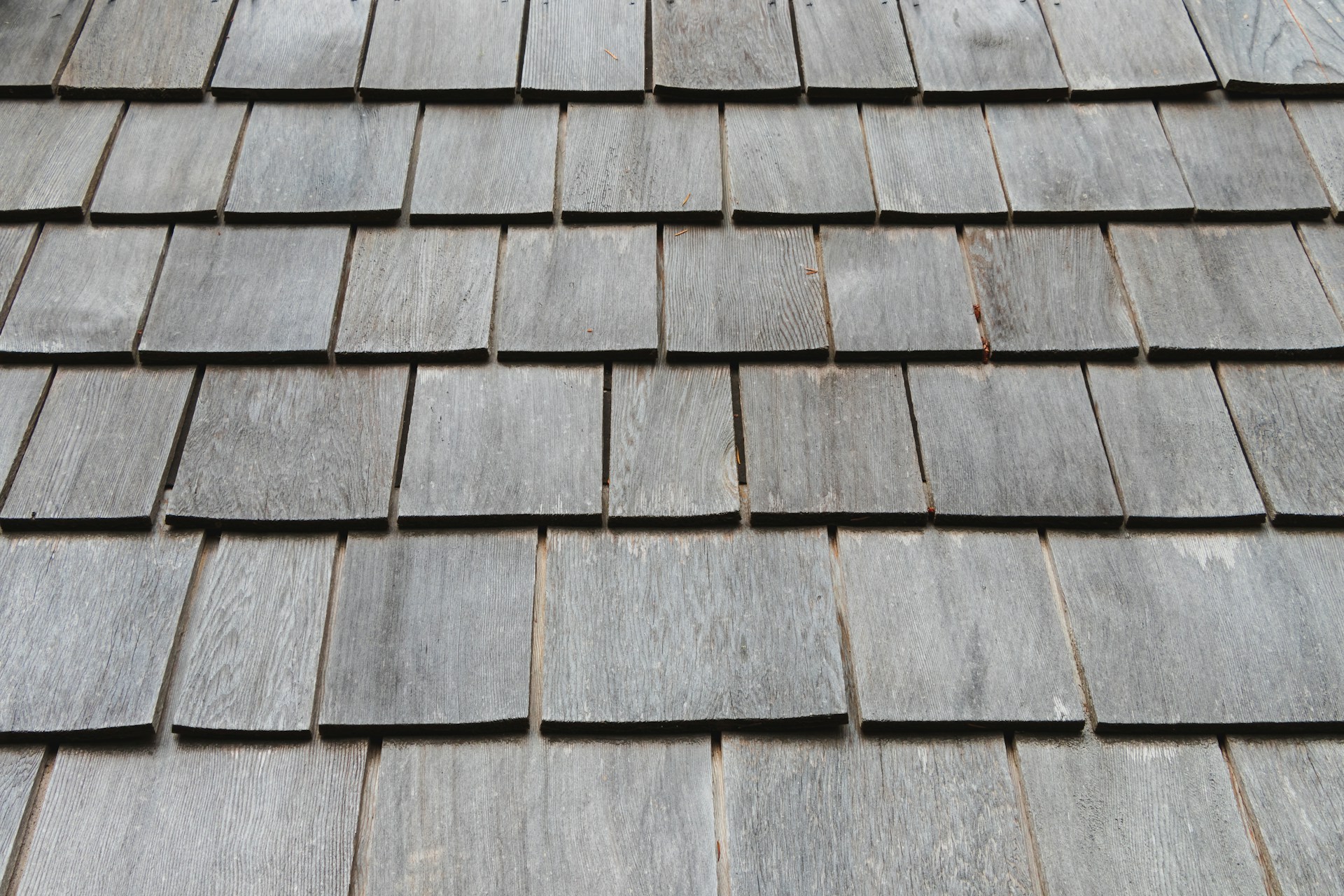 wood shake shingles on roof