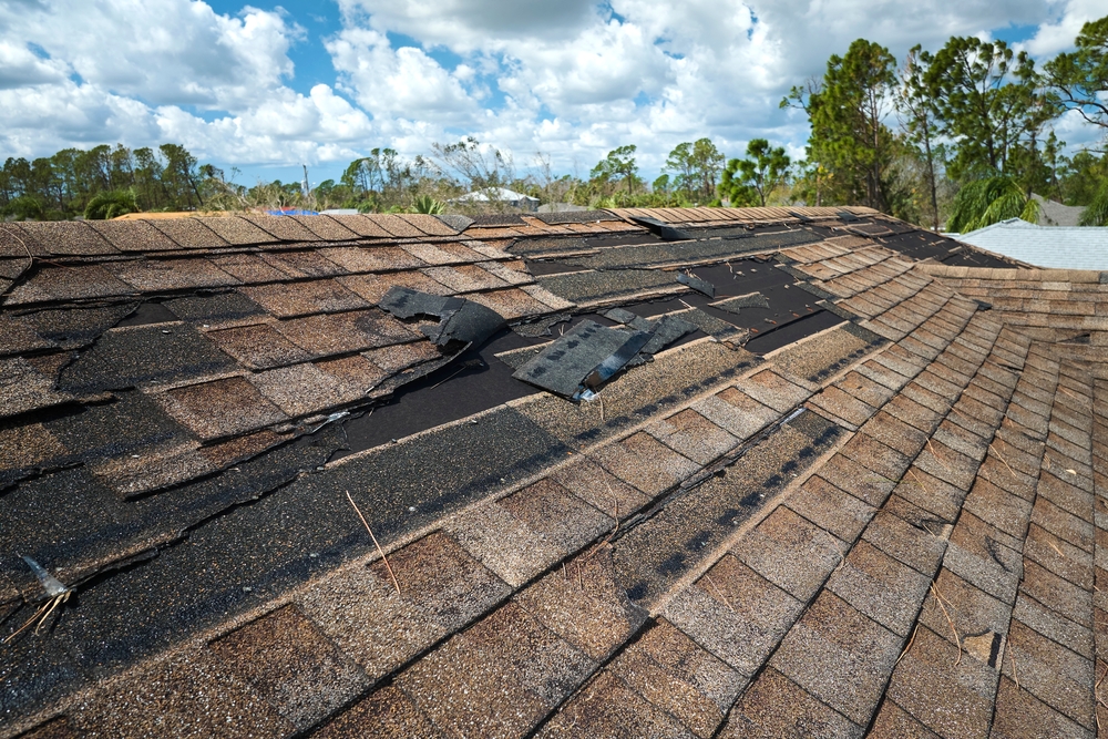 roof with shingles removed by wind storm